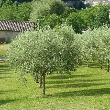 Sangallo Park Szálloda