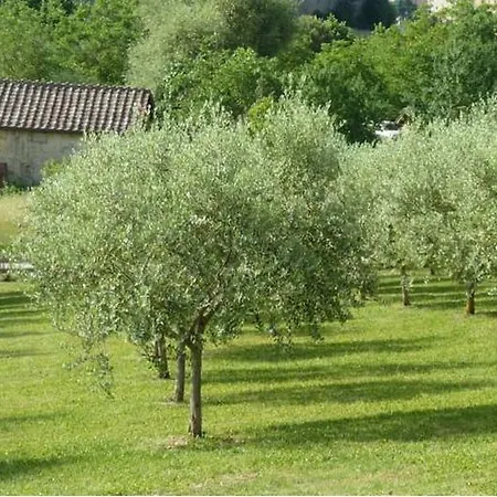 Sangallo Park 3* Σιένα